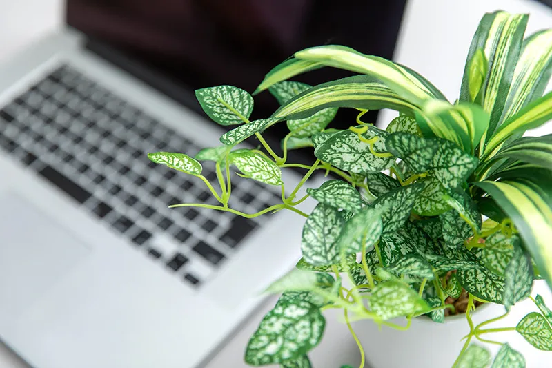 一人ひとりのお悩みに丁寧に寄り添う